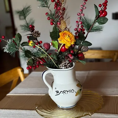 Stelvio House -wonderful View Slope Front ボルミオ
