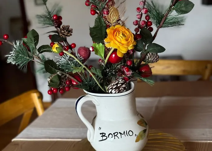 Stelvio House -wonderful View Slope Front Μπόρμιο